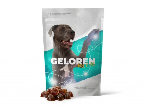 Geloren DOG L-XL