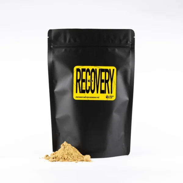Canis Lab - Recovery